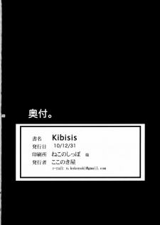 (C79) [Kokonokiya (Kokonoki Nao)] Kibisis (Fate/stay night) - page 25