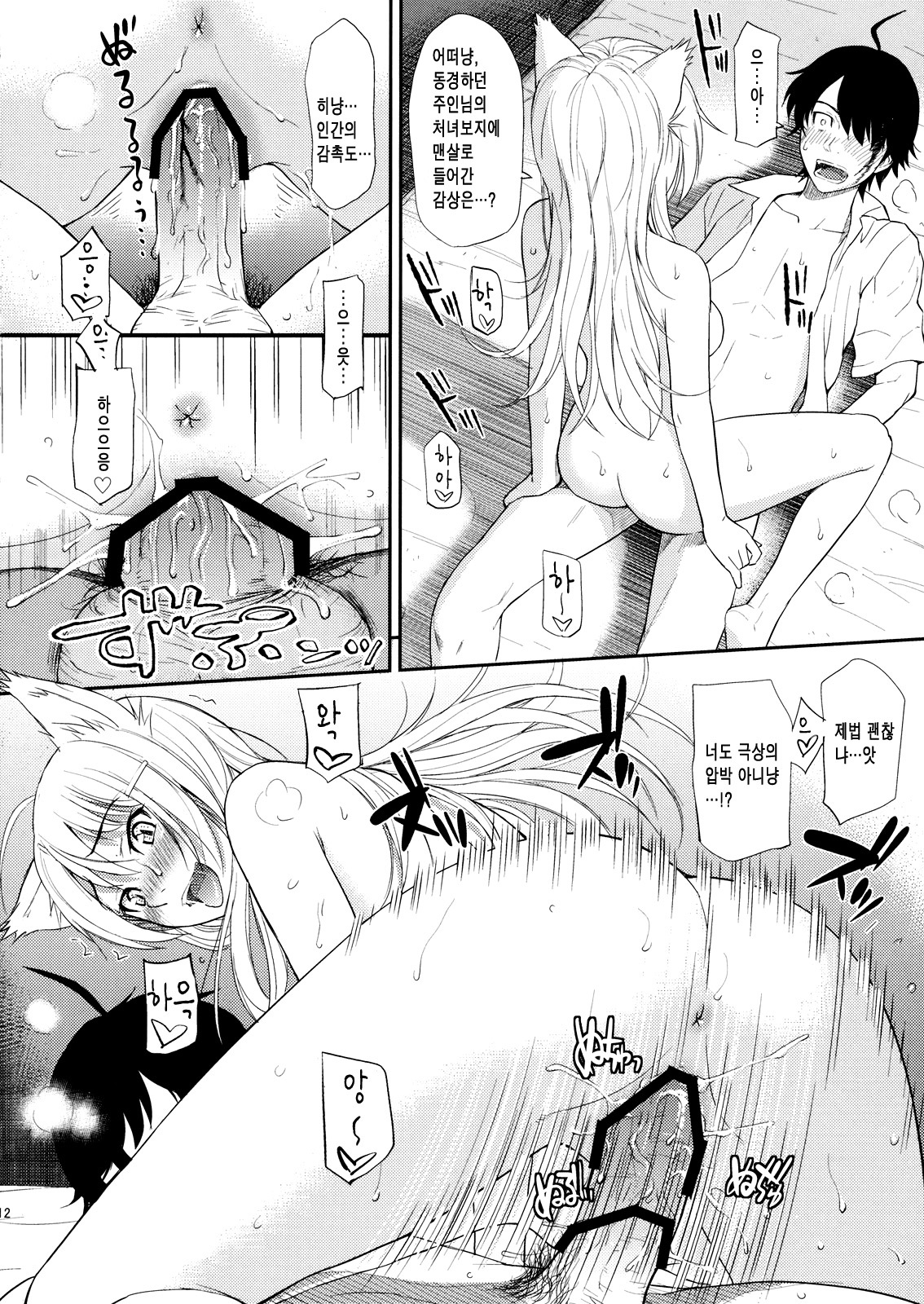 (C78) [Homunculus (Homunculus)] Bakenekogatari (Bakemonogatari) [Korean] page 11 full