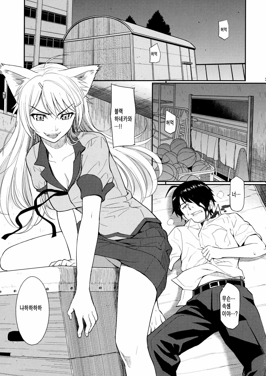 (C78) [Homunculus (Homunculus)] Bakenekogatari (Bakemonogatari) [Korean] page 2 full