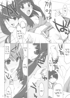 (C78) [TIES (Takei Ooki)] Makasete! FireSisters★ | 맡겨줘! 파이어시스터즈★ (Bakemonogatari) [Korean] [츄르릅] - page 27