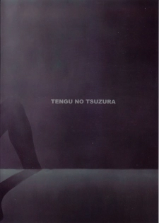 (C78) [Tengu no Tsuzura (Kuro Tengu)] Wanna Try? (Neon Genesis Evangelion) - page 2