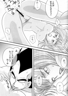 (C78) [Nana Tairiku (Riku, lukia)] Badmans Rückkehr (Dragon Ball Z) - page 26