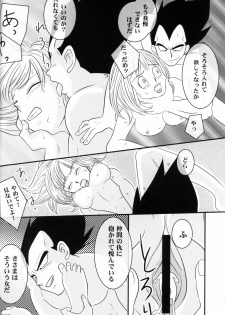 (C78) [Nana Tairiku (Riku, lukia)] Badmans Rückkehr (Dragon Ball Z) - page 27