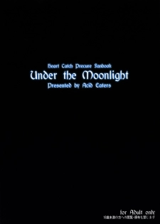 (C79) [ACID EATERS (Kazuma Muramasa)] Under the Moonlight (HeartCatch PreCure!) [Chinese] [Hurai866汉化] - page 26