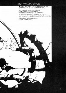 (C69) [Gadoujuku (Kawacchi Hirohiro)] Oppai Ippai Yume Oppai (Dragon Quest VIII) - page 27