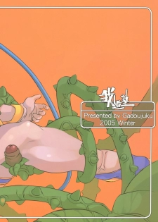(C69) [Gadoujuku (Kawacchi Hirohiro)] Oppai Ippai Yume Oppai (Dragon Quest VIII) - page 30
