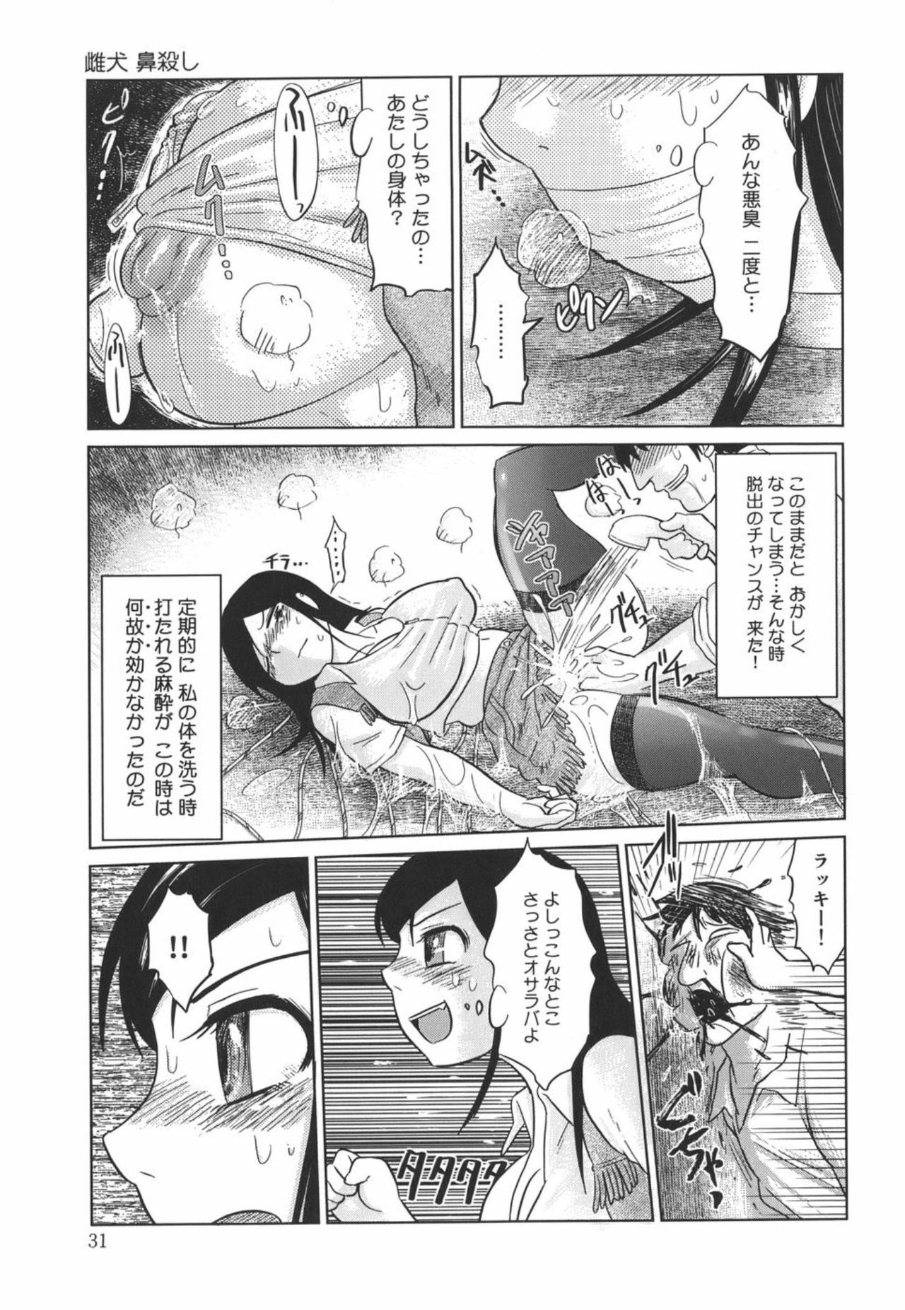 [Marukidou] Nare no Hate, Mesubuta page 31 full