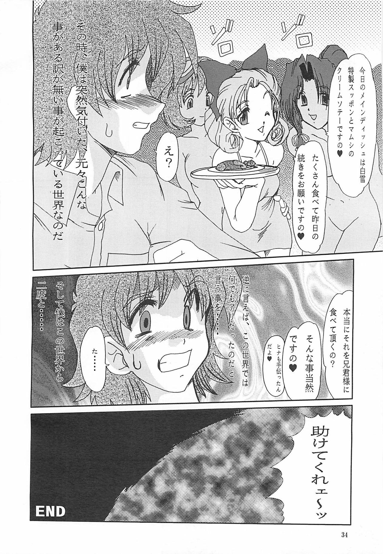 (C60) [Parupunte (Fukada Takushi)] F-39 (Sister Princess) page 34 full