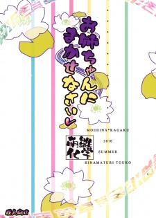 (CT16) [Moehina Kagaku (Hinamatsuri Touko)] Oneechan ni Makasenasai v (Touhou Project) - page 20