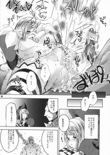 (C79) [Fujiya Honten (Thomas)] Kariyuku Mono (Monster Hunter) - page 13