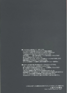 (C75) [Reverse Noise (Yamu)] Musou Fuuin (Touhou Project) [Chinese] [KDays里.糟糕组] - page 3