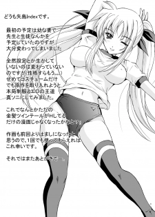 [Rivajima (Yajima Index)] Niizuma Fate (Mahou Shoujo Lyrical Nanoha) [Digital] - page 3