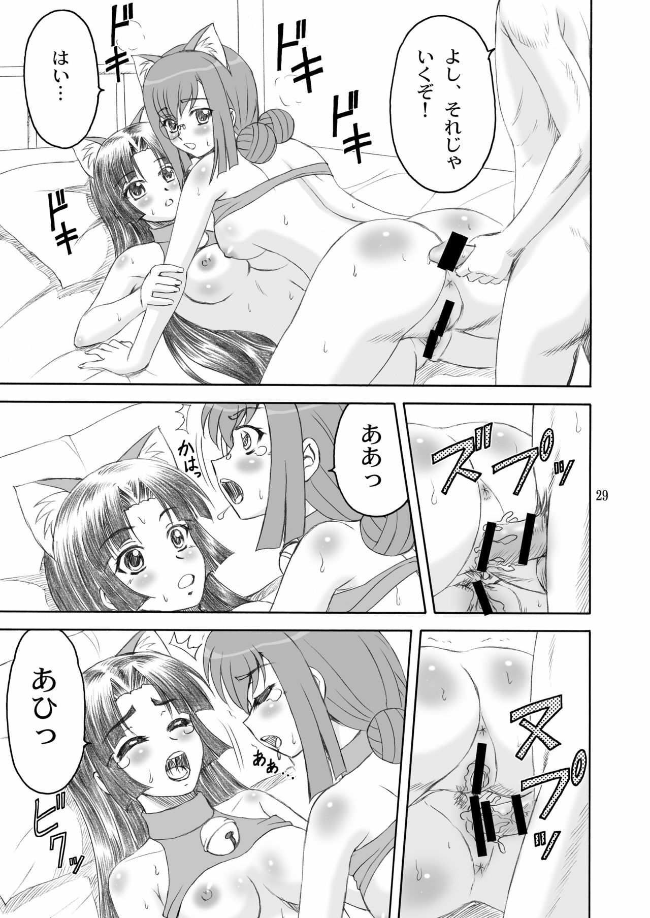 [Yasrin-Do (Yasu Rintarou)] Nyan Nyan * Shao Nyan (Shin Koihime Musou) [Digital] page 29 full