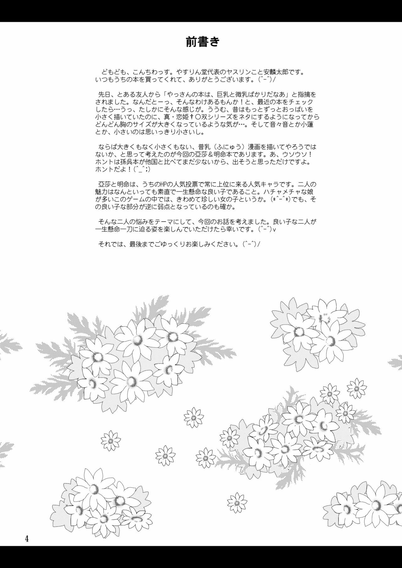 [Yasrin-Do (Yasu Rintarou)] Nyan Nyan * Shao Nyan (Shin Koihime Musou) [Digital] page 4 full