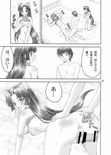 [Yasrin-Do (Yasu Rintarou)] Nyan Nyan * Shao Nyan (Shin Koihime Musou) [Digital] - page 23