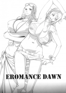 (C79) [Abradeli Kami (bobobo)] EROMANCE DAWN (One Piece) - page 3