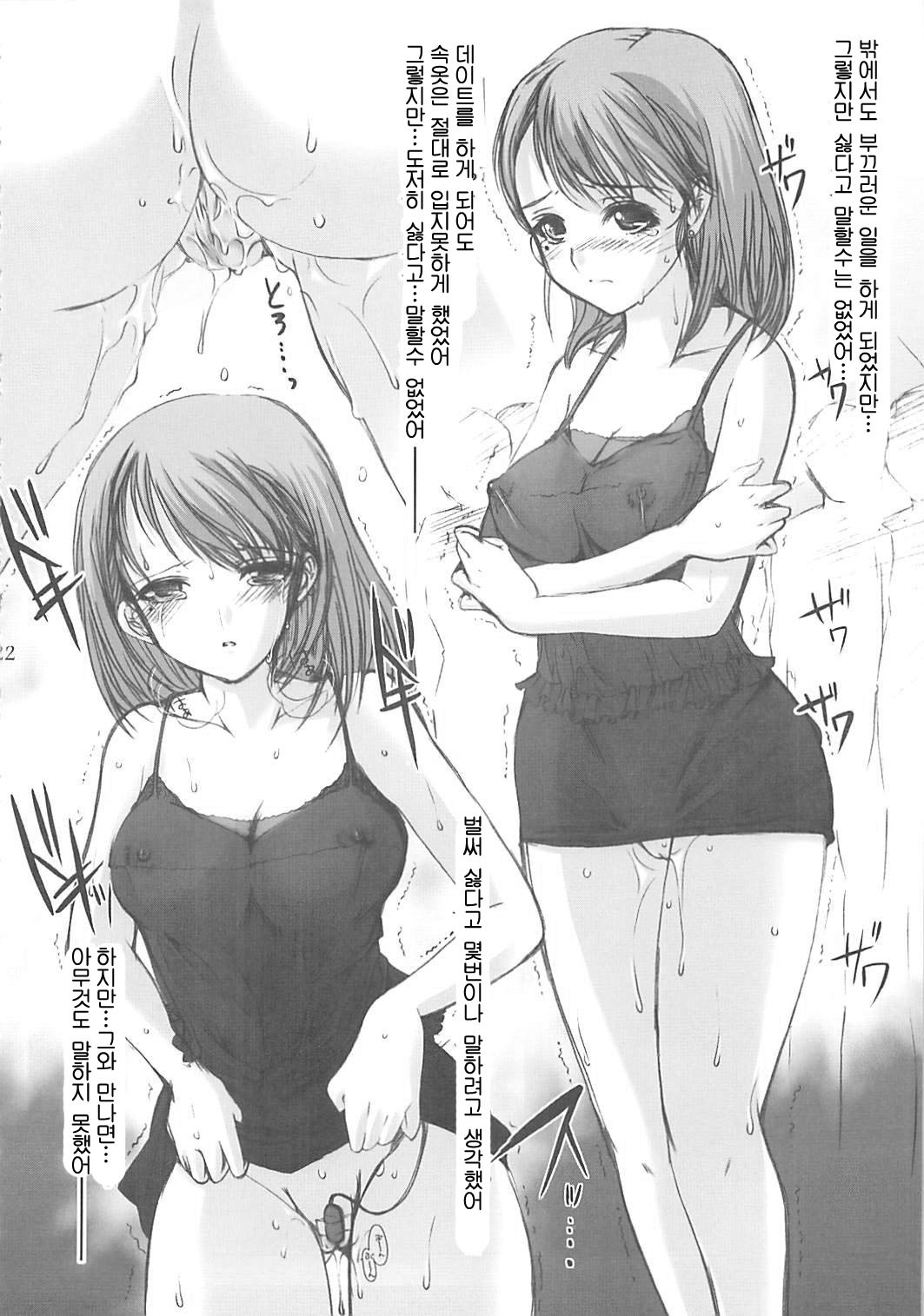 (C77) [High Risk Revolution (Aizawa Hiroshi)] Himitsu Nene no Himitsu (Love Plus) [Korean] page 21 full