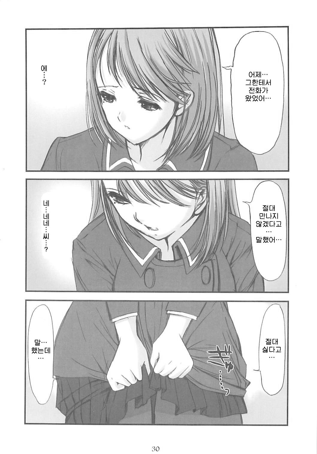 (C77) [High Risk Revolution (Aizawa Hiroshi)] Himitsu Nene no Himitsu (Love Plus) [Korean] page 29 full