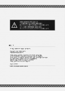 (C77) [Neko Saffron (inoino)] GigiNebula-san Musou | 기기네브라씨무쌍 (Monster Hunter) [Korean] [니벨룽겐] - page 3