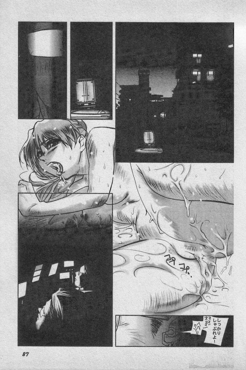 [Anthology] Paradise Lost Vol.3 (Neon Genesis Evangelion) page 87 full