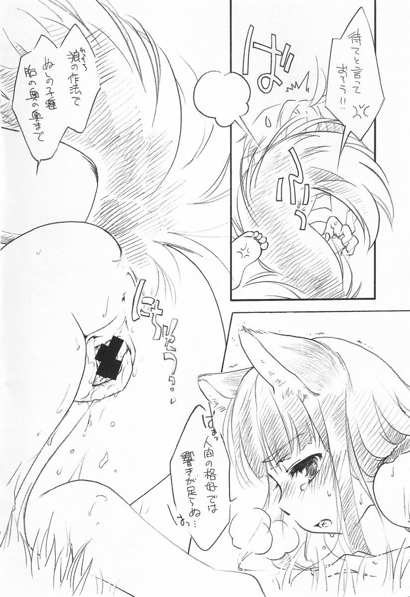 (C73) [Hinaprin (Ikuta Takanon)] Ookami no Hatsujouki (Spice and Wolf) page 11 full