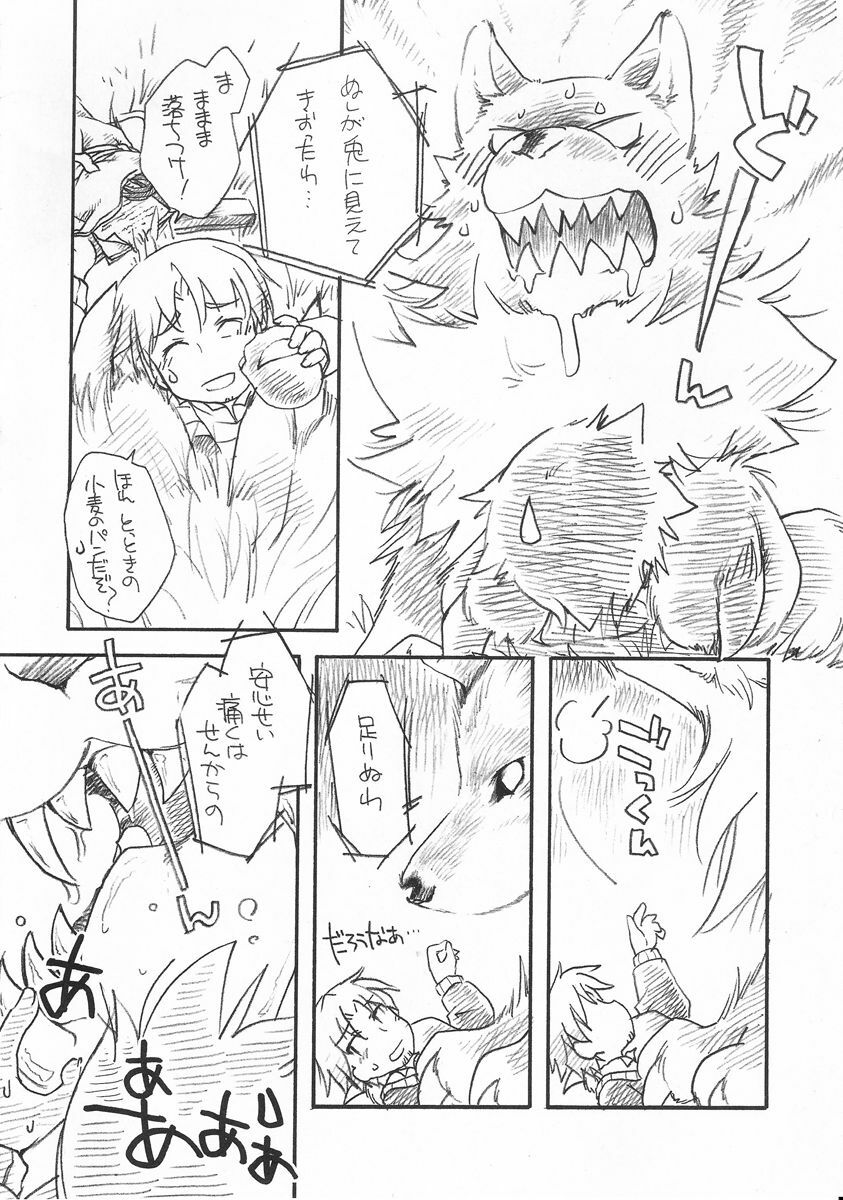 (C73) [Hinaprin (Ikuta Takanon)] Ookami no Hatsujouki (Spice and Wolf) page 3 full