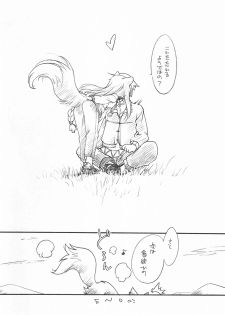 (C73) [Hinaprin (Ikuta Takanon)] Ookami no Hatsujouki (Spice and Wolf) - page 15