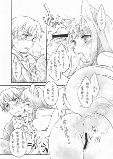 (C73) [Hinaprin (Ikuta Takanon)] Ookami no Hatsujouki (Spice and Wolf) - page 5