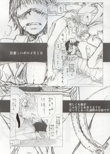 Uma no Kanwa (Fullmetal Alchemist) - page 2