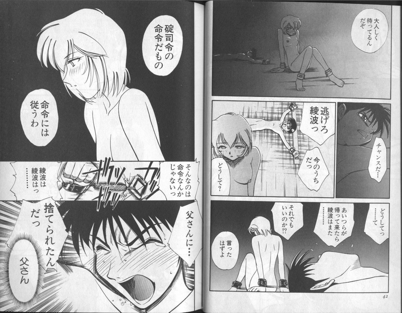[Anthology] Shitsurakuen 6 | Paradise Lost 6 (Neon Genesis Evangelion) page 23 full