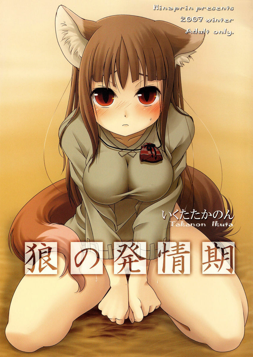 (C73) [Hinaprin (Ikuta Takanon)] Ookami no Hatsujouki | Wolf and the Rutting Season (Spice and Wolf) [English] =Strange Companions= page 1 full