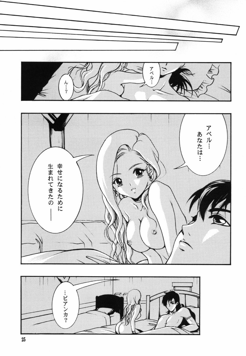 (C73) [Barbaroi no Sato (Ryuuka Ryou)] Ten kara Maiorita Ichirin no Hana (Dragon Quest V: Hand of the Heavenly Bride) page 25 full