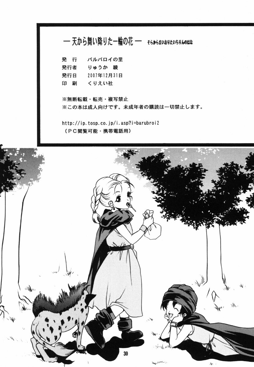 (C73) [Barbaroi no Sato (Ryuuka Ryou)] Ten kara Maiorita Ichirin no Hana (Dragon Quest V: Hand of the Heavenly Bride) page 30 full