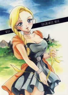 (C73) [Barbaroi no Sato (Ryuuka Ryou)] Ten kara Maiorita Ichirin no Hana (Dragon Quest V: Hand of the Heavenly Bride)