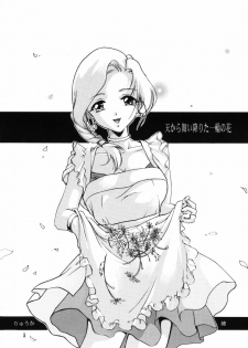 (C73) [Barbaroi no Sato (Ryuuka Ryou)] Ten kara Maiorita Ichirin no Hana (Dragon Quest V: Hand of the Heavenly Bride) - page 5