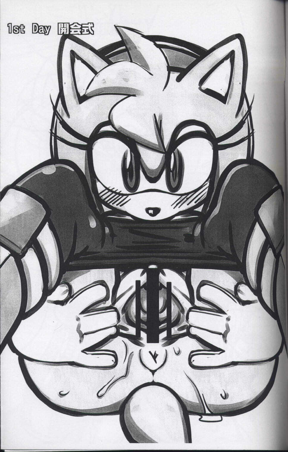 (C77) [Tengai Aku Juumonji (Akuno Toujou)] Mankuupaa Olympic (Sonic The Hedgehog) page 2 full