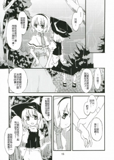 (Kouroumu 2) [PERSONAL COLOR (Sakuraba Yuuki)] Ningyoutsukai to Shirokuroma (Touhou Project) [Chinese] - page 13