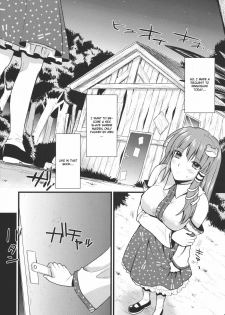 (C79) [YURIRU-RARIKA (Kojima Saya)] Midara no Miko (Touhou Project) [English] [CGrascal] - page 5
