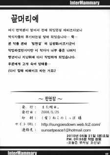 (Reitaisai 5) [Mata Ashita. (Oohira Sunset)] Inter Mammary (Touhou Project) [Korean] [오펜] - page 14