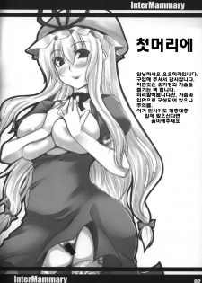(Reitaisai 5) [Mata Ashita. (Oohira Sunset)] Inter Mammary (Touhou Project) [Korean] [오펜] - page 4