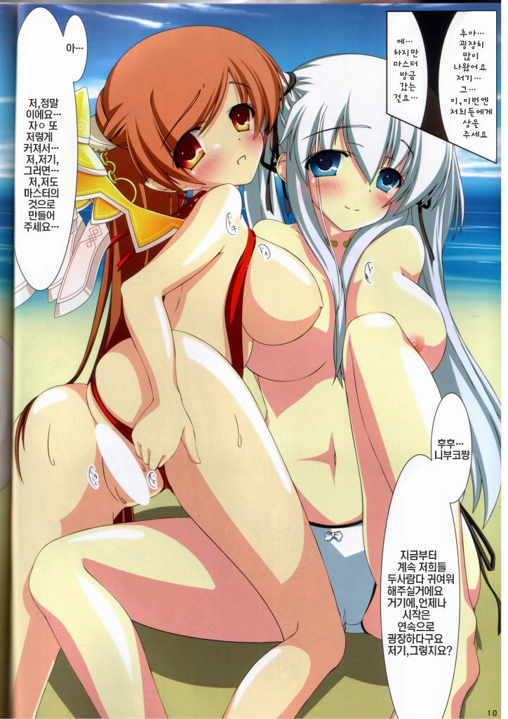 (C76) [SEA-S (Umitsubame)] MABINOGI in a skimpy swimsuit (Mabinogi) [Korean] [나키우사기] page 10 full