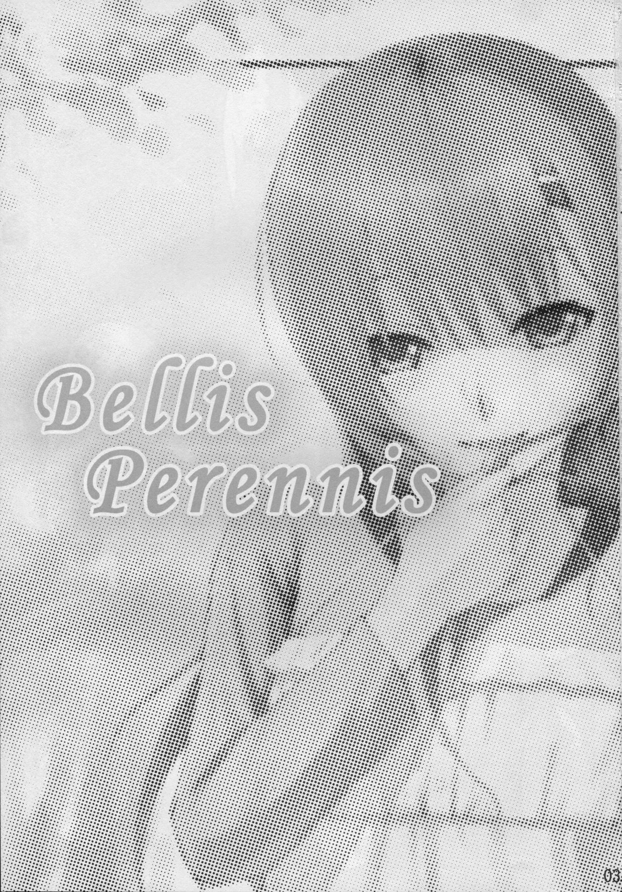 (SC41) [Cior (ken-1)] Bellis Perennis (Hayate no Gotoku!) page 2 full