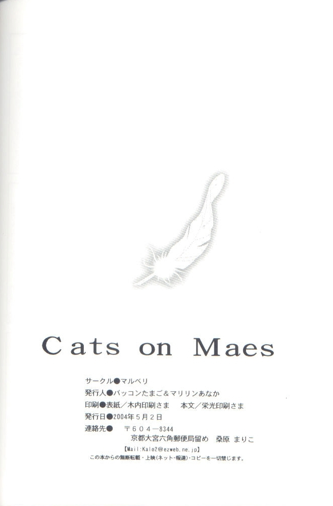 (SUPER13) [Mulberry (Bakkon Tamago, Maririn Anaka)] Cat on Maes (Fullmetal Alchemist) page 22 full