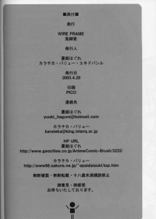 (CR33) [Kikyakudou, WIREFRAME (Karateka Value, Yuuki Hagure)] Geki-Luv (Muv-Luv) - page 24