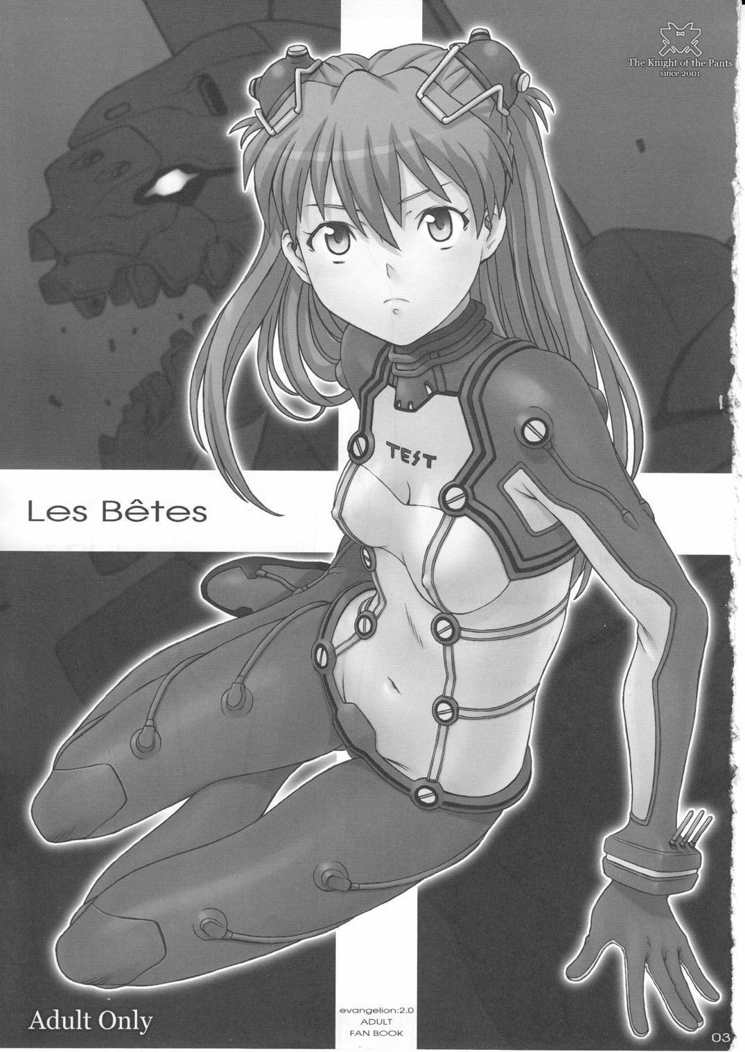 (C77) [Pantsu Kishidan (Tsuji Takeshi)] Les Betes (Neon Genesis Evangelion) page 3 full
