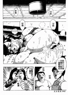 [Shinjima Saki] Renkan Jigoku [Chinese] - page 44