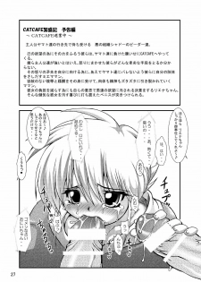 [Furuya (TAKE)] CATCAFE Kinjouki (B-Daman) - page 27