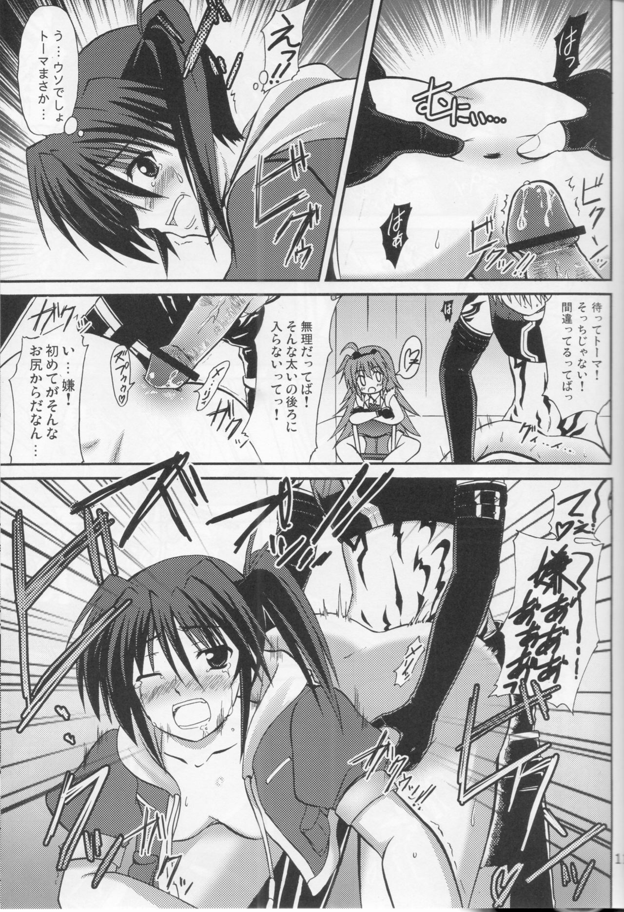 (CT16) [Negative from the beginning (Zakkii)] Eclipse Pandemic-Error Code: Isis- (Mahou Shoujo Lyrical Nanoha) page 10 full