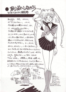 (C50) [Project Shiba (Nakajima Katsuya)] MOON WAVE (Sailor Moon) - page 3