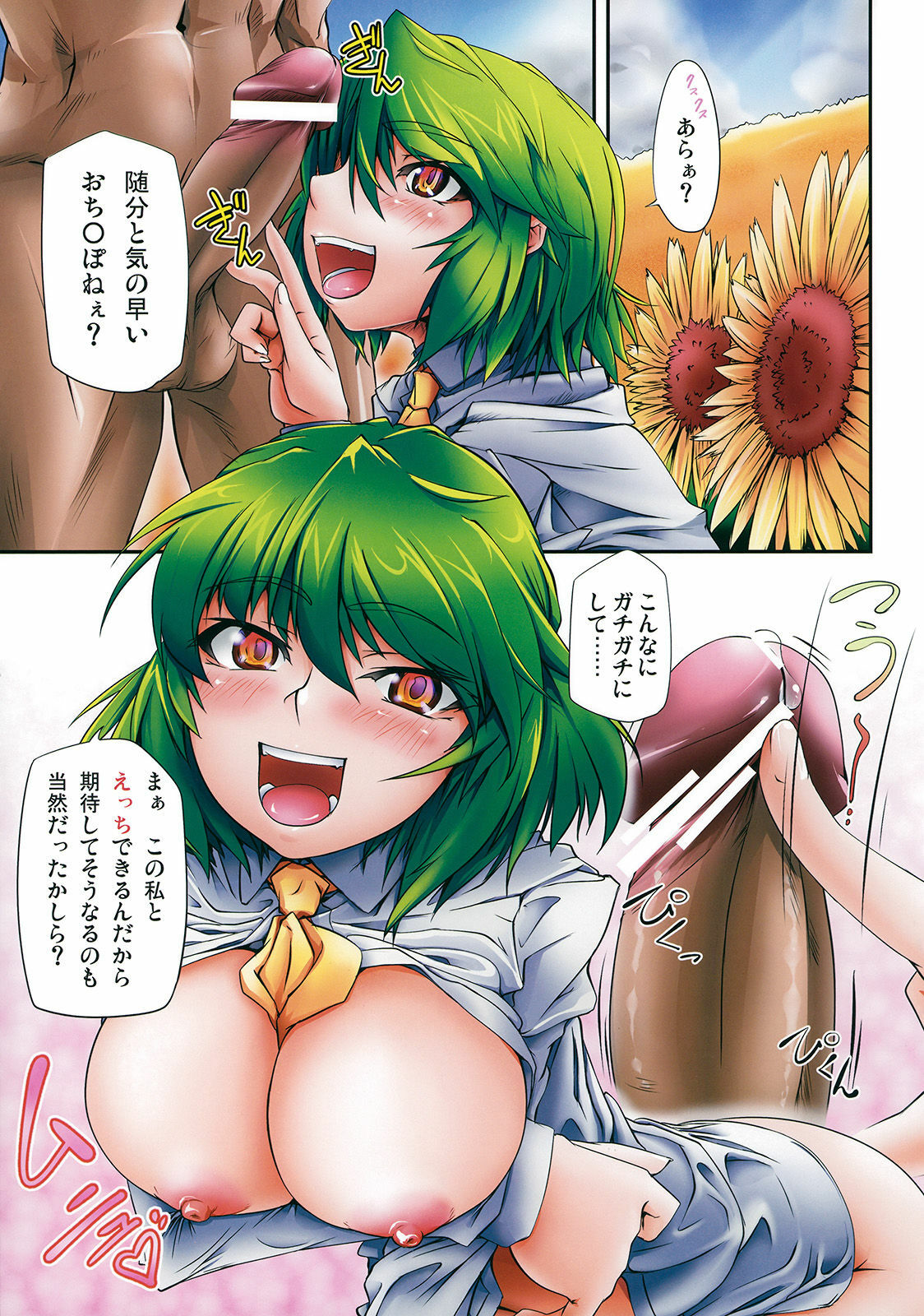 (C78) [kaibido (mokei)] Colorful flower (Touhou Project) page 4 full